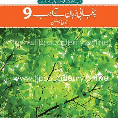 Tips Punjabi Class 9th (New Edition)
